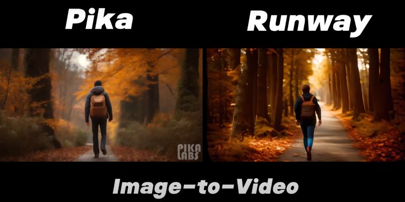 Autumn Path Scene Comparison