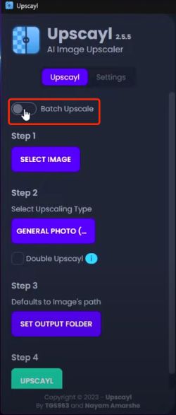 Step 4- Single vs. Batch Upscaling