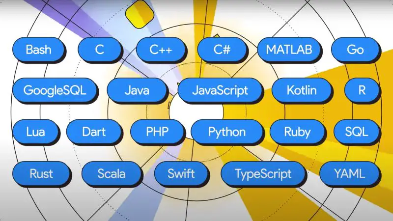 duet ai 20 programming languages